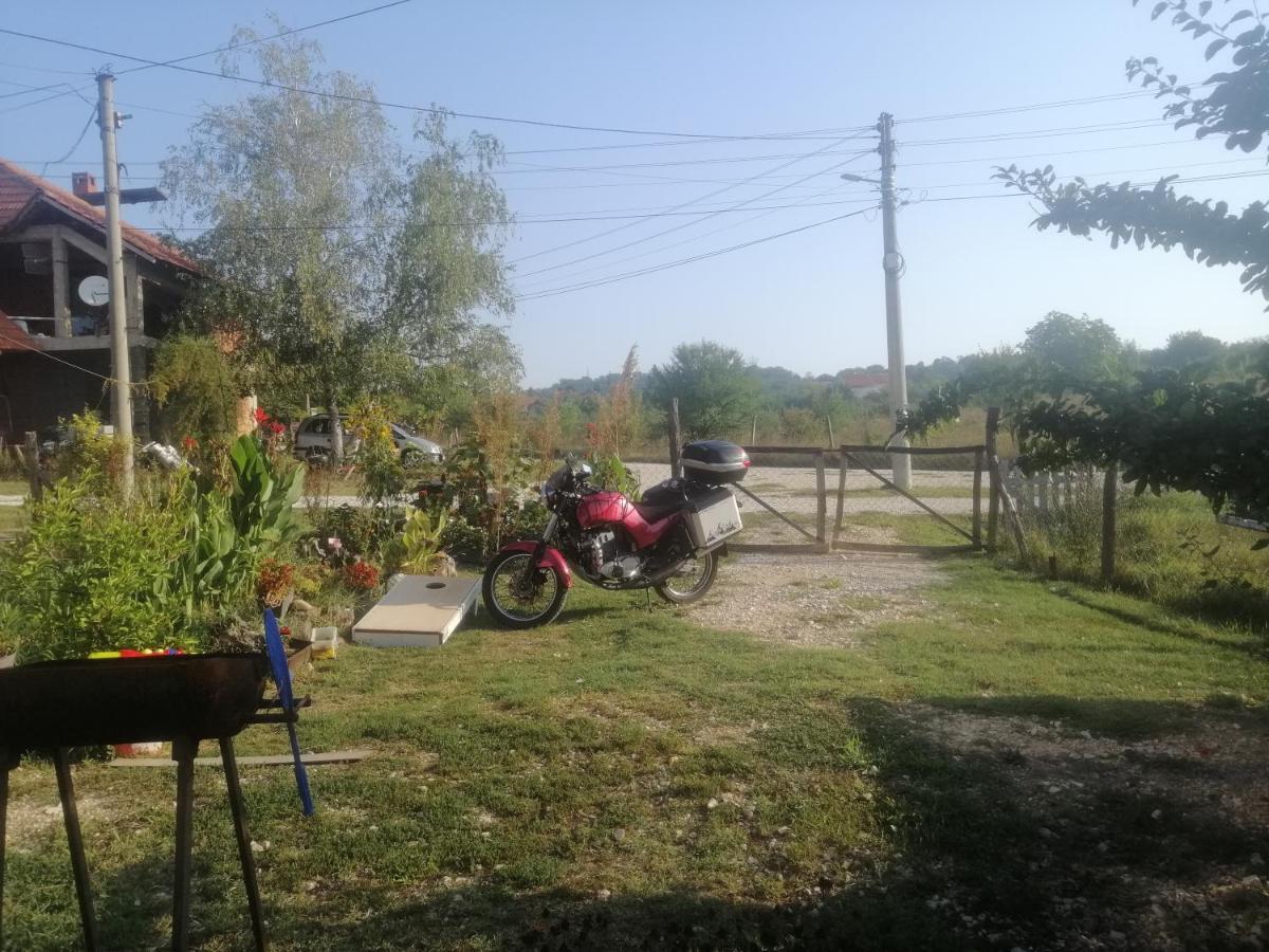 Stancic 019 Διαμέρισμα Zaječar Εξωτερικό φωτογραφία