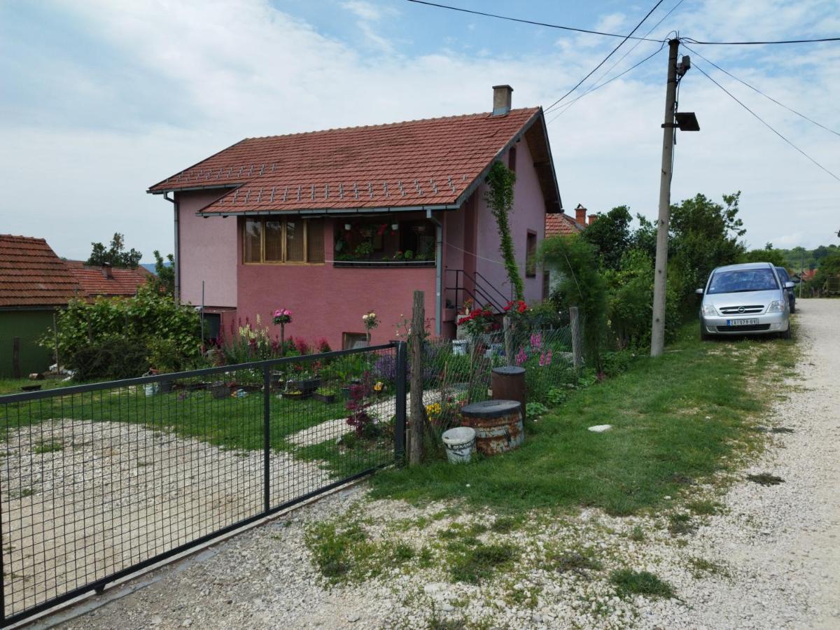 Stancic 019 Διαμέρισμα Zaječar Εξωτερικό φωτογραφία