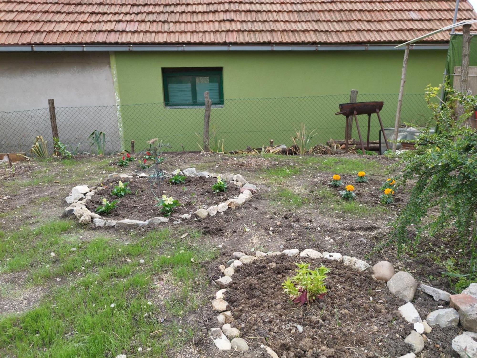 Stancic 019 Διαμέρισμα Zaječar Εξωτερικό φωτογραφία